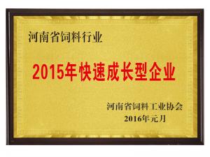 2015年快速成長型企業(yè)