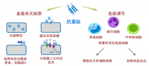 泰倍健——新型免疫增強(qiáng)劑，構(gòu)建核心抗病力